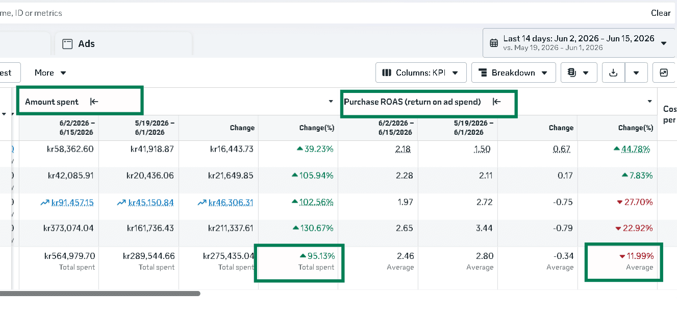 Client results dashboard — 95% Scale with Stable ROAS